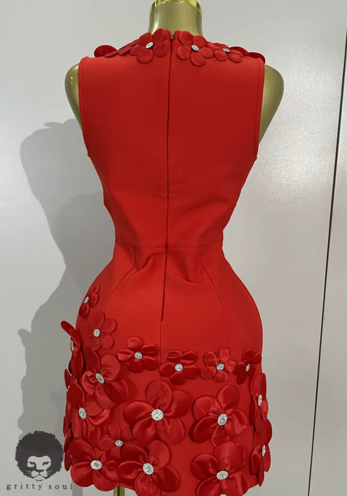 Picked to Perfection Dress back view